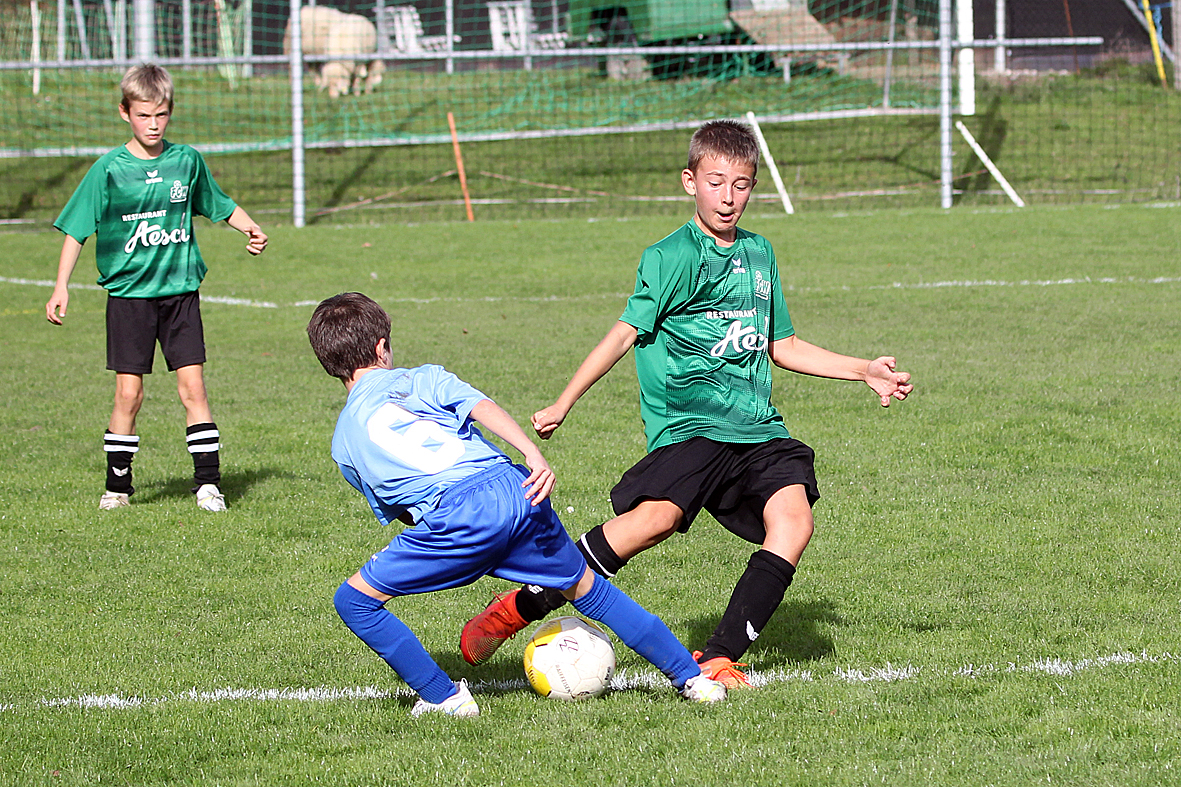 Meisterschaft Junioren D: FC Walchwil - FC Hünenberg a 3:13