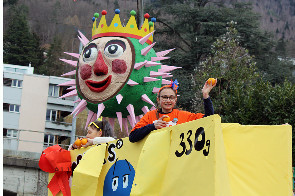 Fasnachtsumzug / Carnival procession