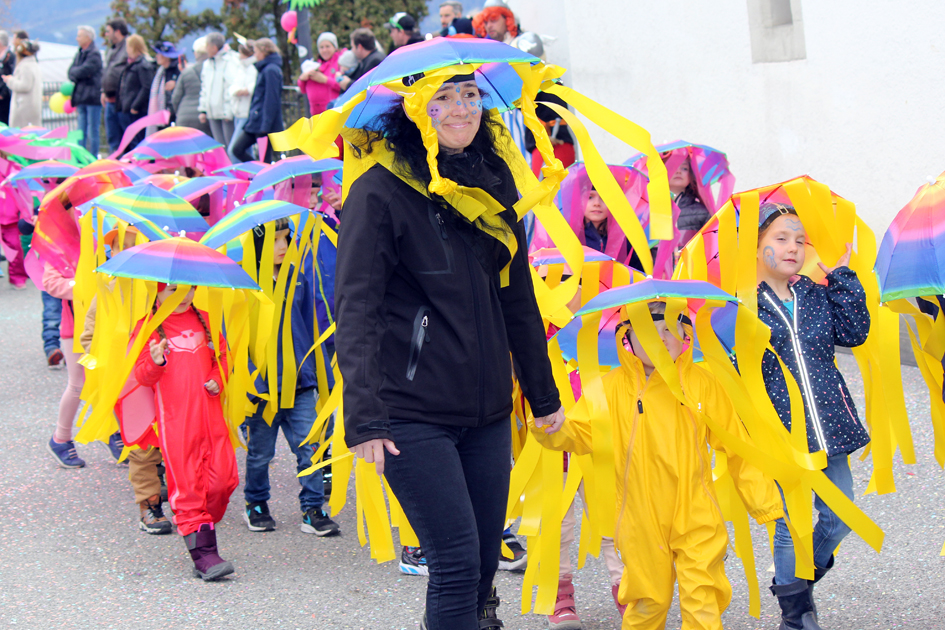 Fasnachtsumzug / Carnival procession